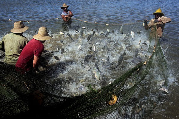 National-Fish-Farmers-Day