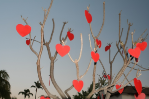 Valentinesdaytree-scaled